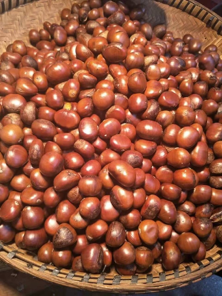 2026 炒货价格持续攀升的原因是什么？